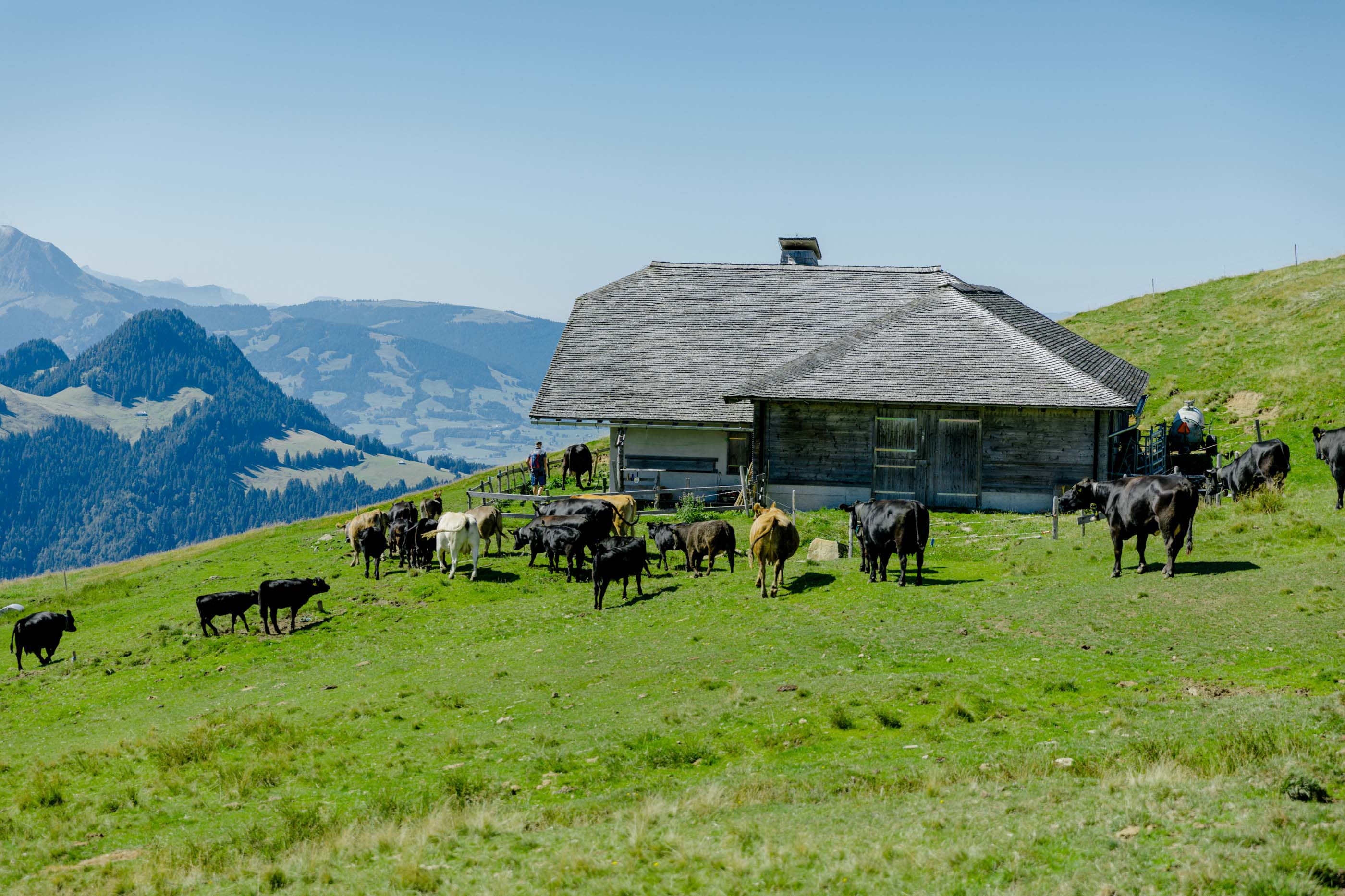 Ferme biologique de La Faye