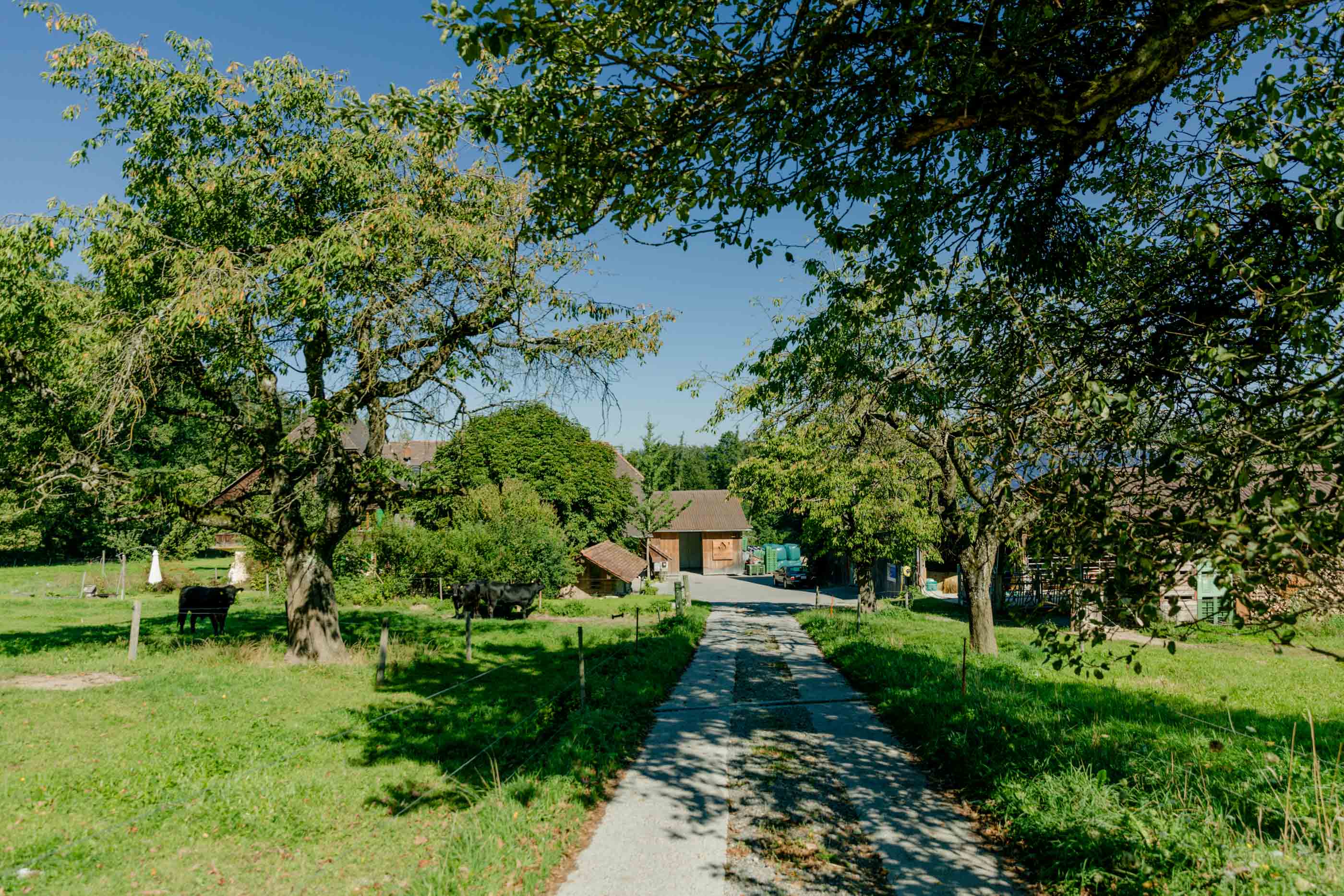 Ferme biologique de La Faye