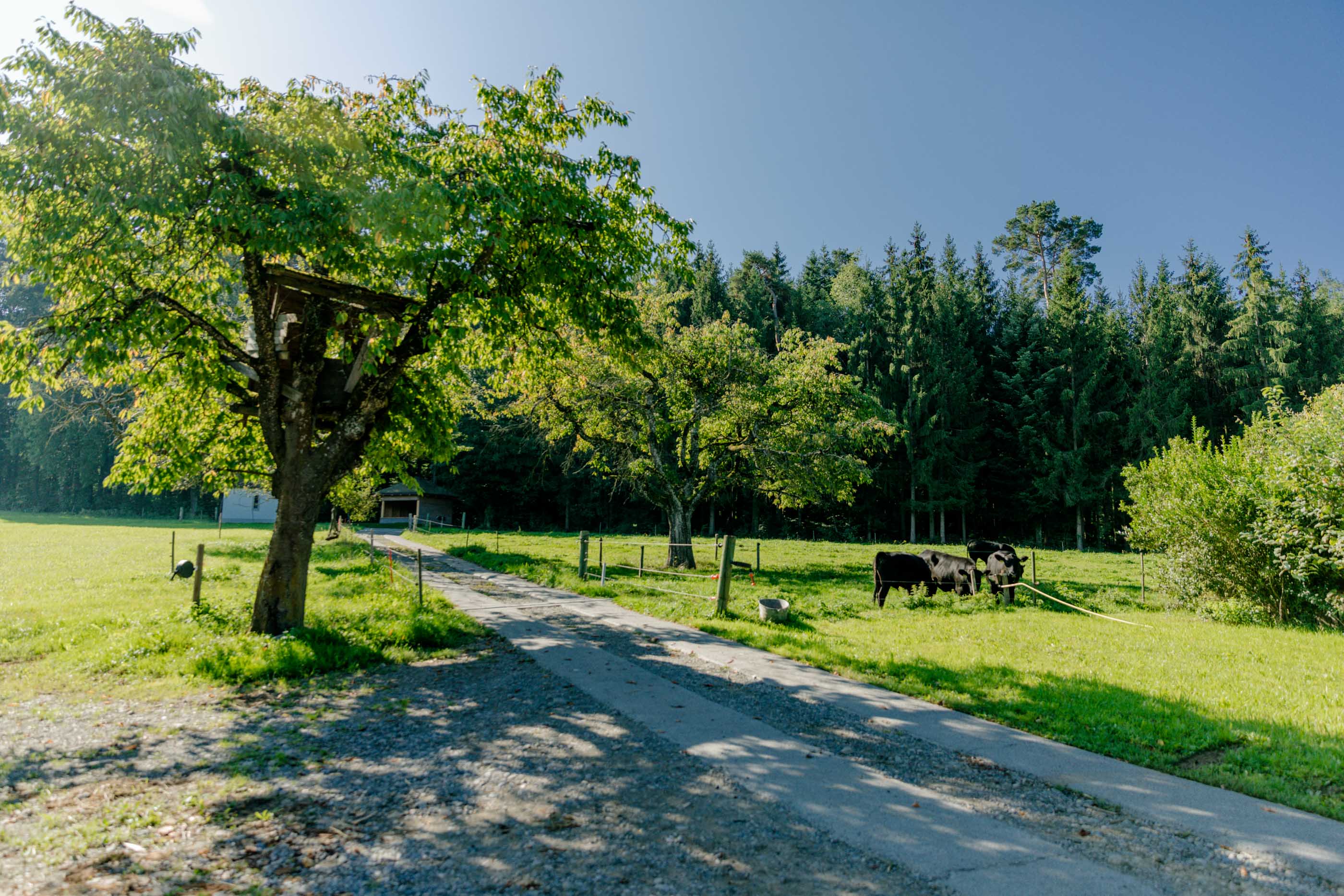 Ferme biologique de La Faye