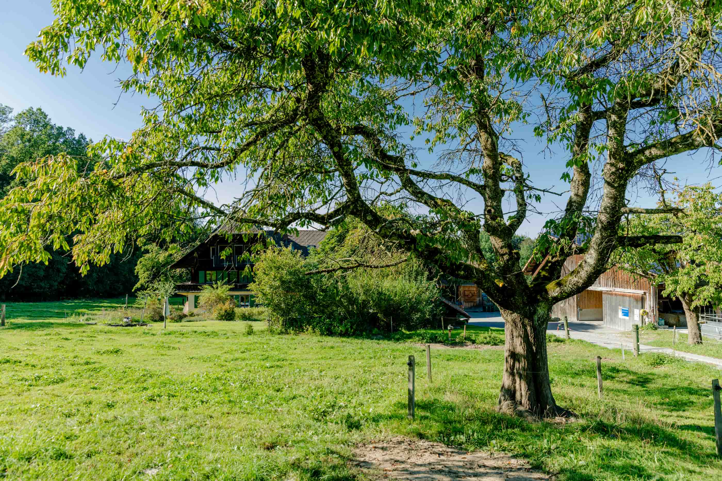 Ferme biologique de La Faye