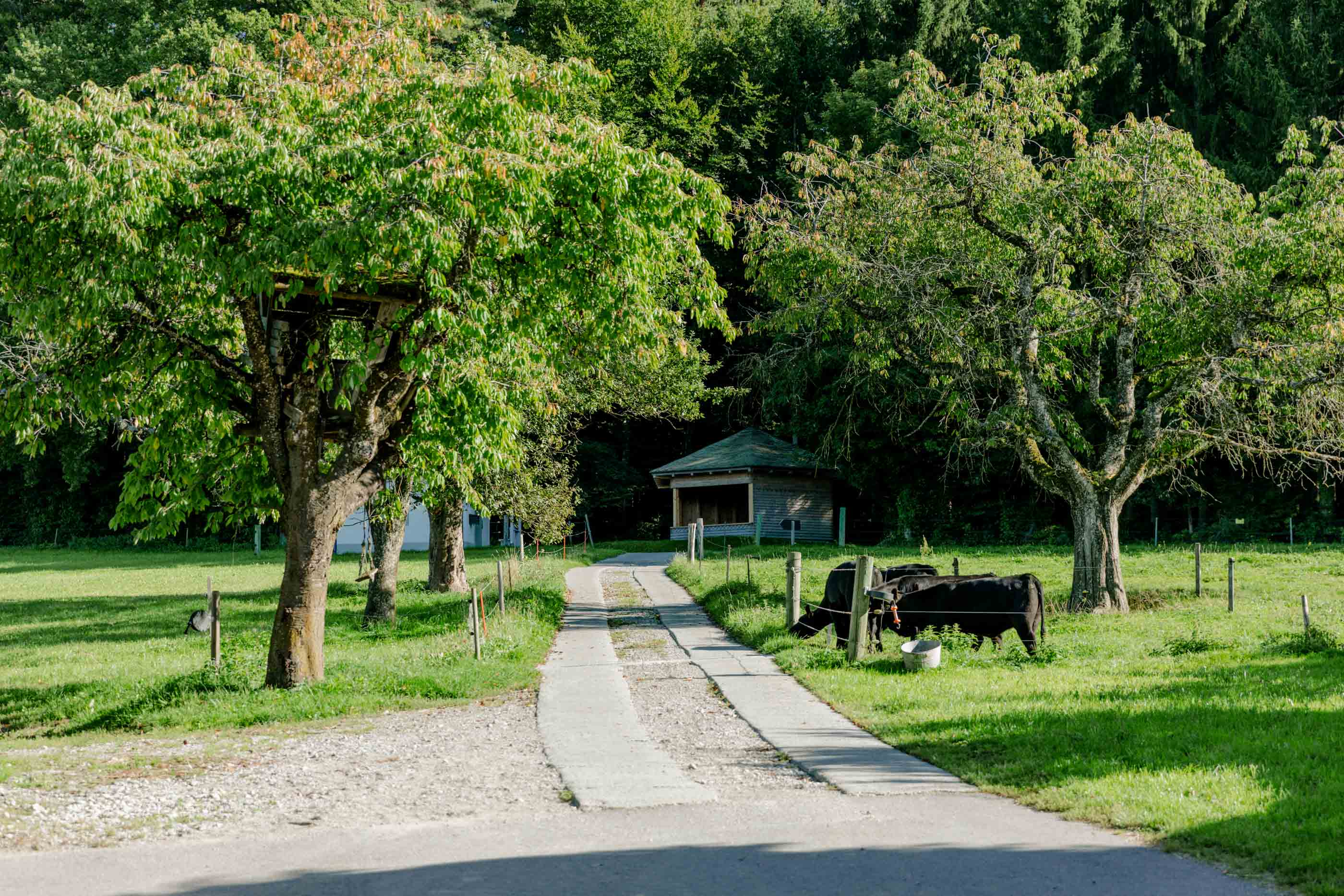 Ferme biologique de La Faye