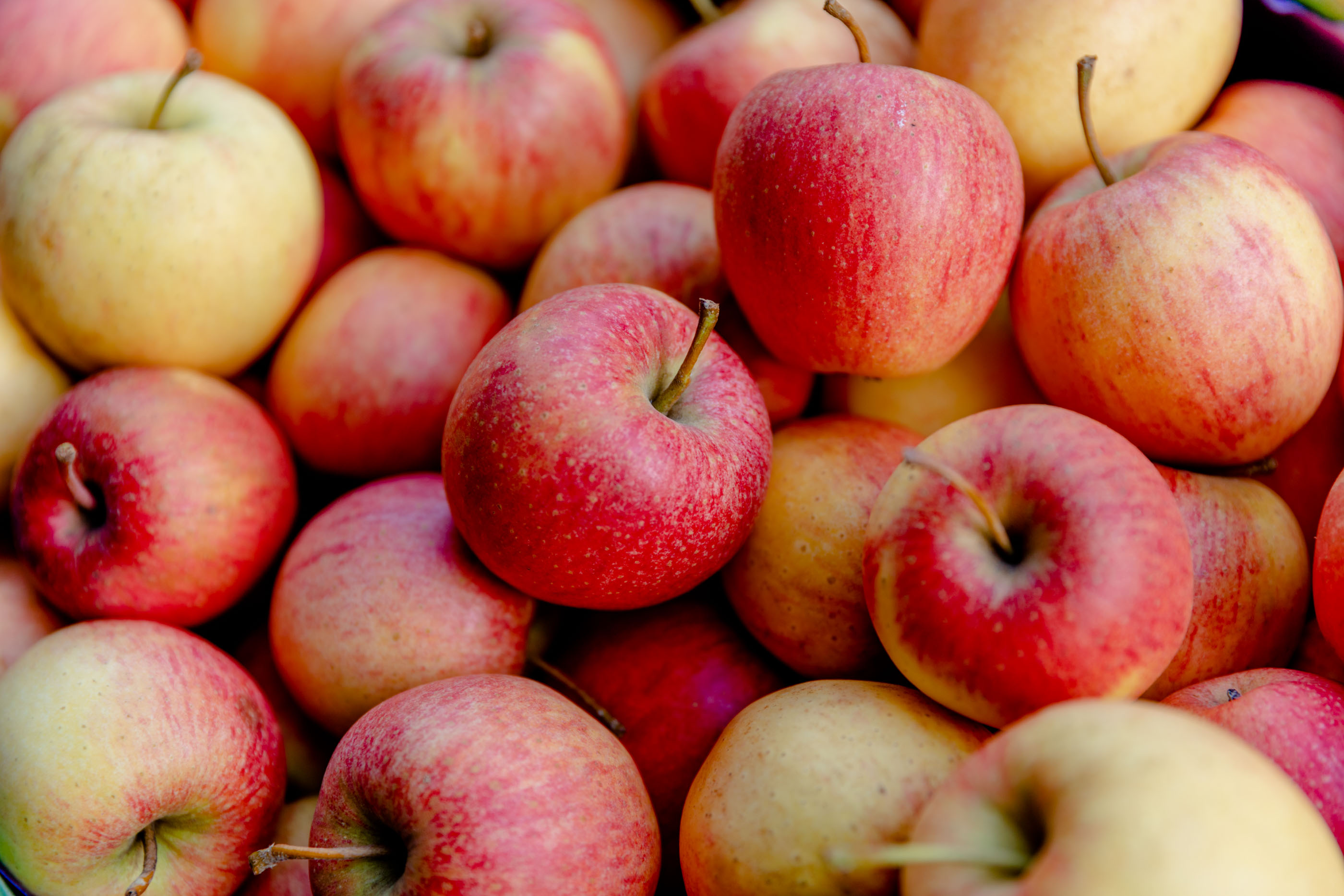 Pommes et jus de pomme