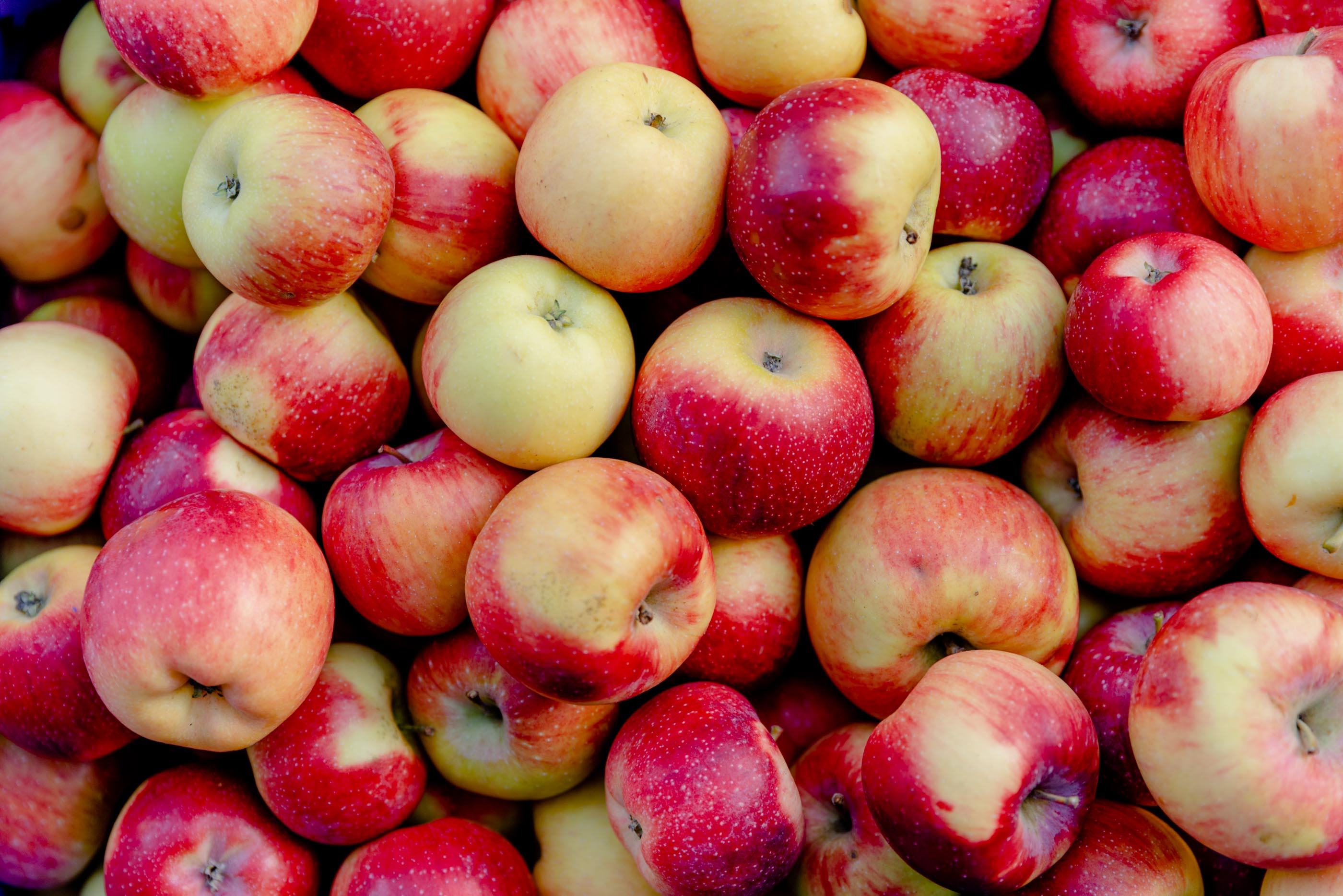 Pommes et jus de pomme